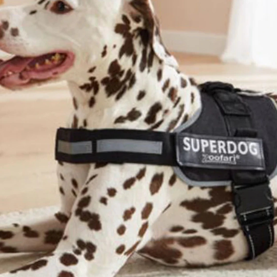Zoofari Security Dog Harness