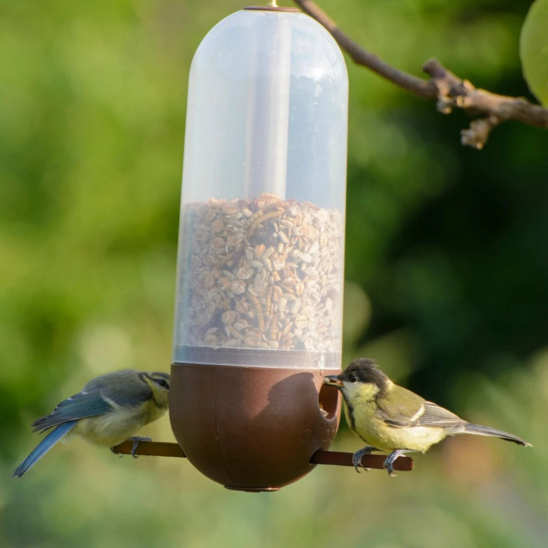 Cornbar Bird Feeder