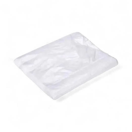 Parkside Dust Sheet 4x5 Meters