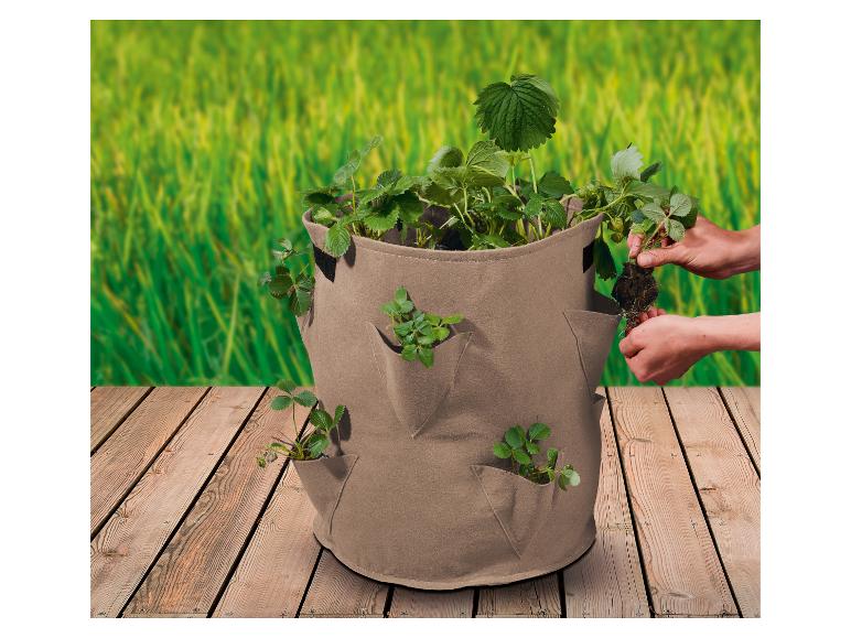Parkside Strawberry Grow Bags - Set of 2
