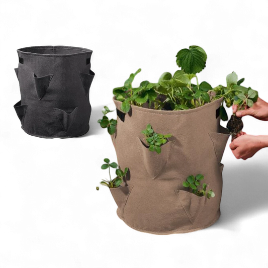 Parkside Strawberry Grow Bags - Set of 2