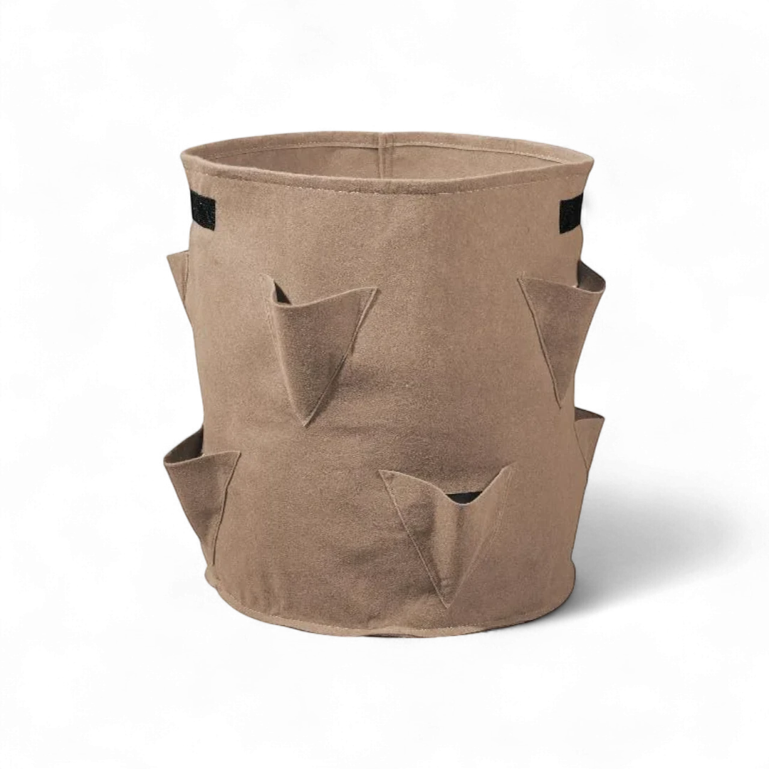 Parkside Strawberry Grow Bags - Set of 2