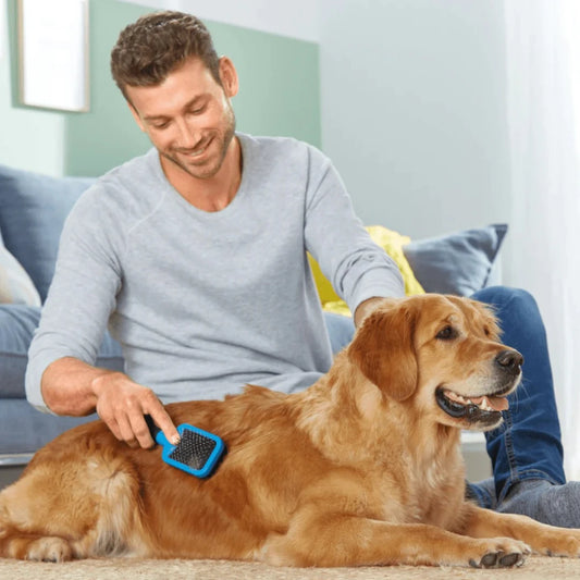 Zoofari Dog Grooming Brush