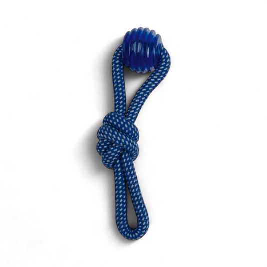 Squeaky Dog Toy
