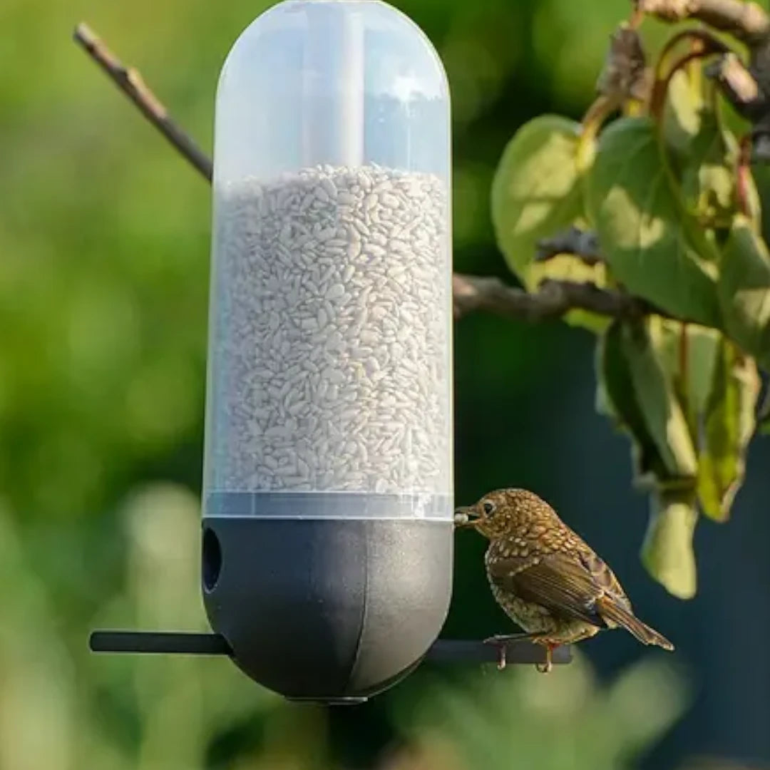 Cornbar Bird Feeder