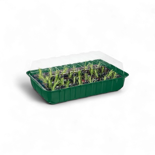 Parkside Mini Greenhouse Set - 12 Pcs