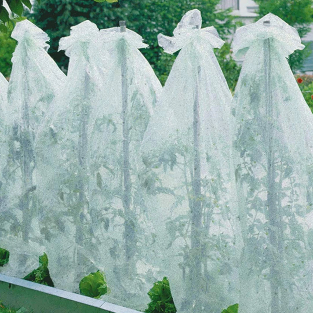 Parkside Tomato Plant Fleece