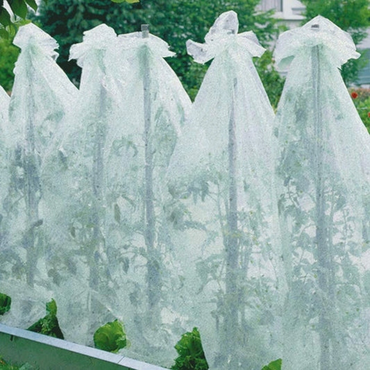 Parkside Tomato Plant Fleece