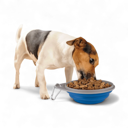 Zoofari Dog Feeding Plate